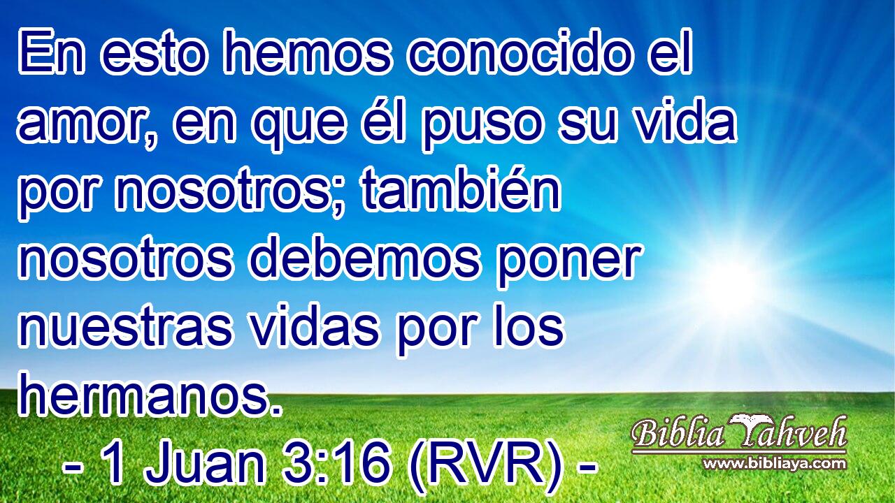 En esto hemos conocido el amor, en que él puso su vida por nosotros; también nosotros debemos poner nuestras vidas por los hermanos.