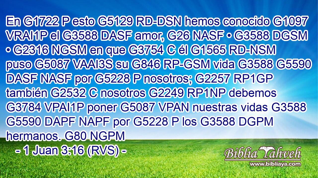 En G1722 P esto G5129 RD-DSN hemos conocido G1097 VRAI1P el G3588 DASF amor, G26 NASF • G3588 DGSM • G2316 NGSM en que G3754 C él G1565 RD-NSM puso G5087 VAAI3S su G846 RP-GSM vida G3588 G5590 DASF NASF por G5228 P nosotros; G2257 RP1GP también G2532 C nosotros G2249 RP1NP debemos G3784 VPAI1P poner G5087 VPAN nuestras vidas G3588 G5590 DAPF NAPF por G5228 P los G3588 DGPM hermanos. G80 NGPM 
