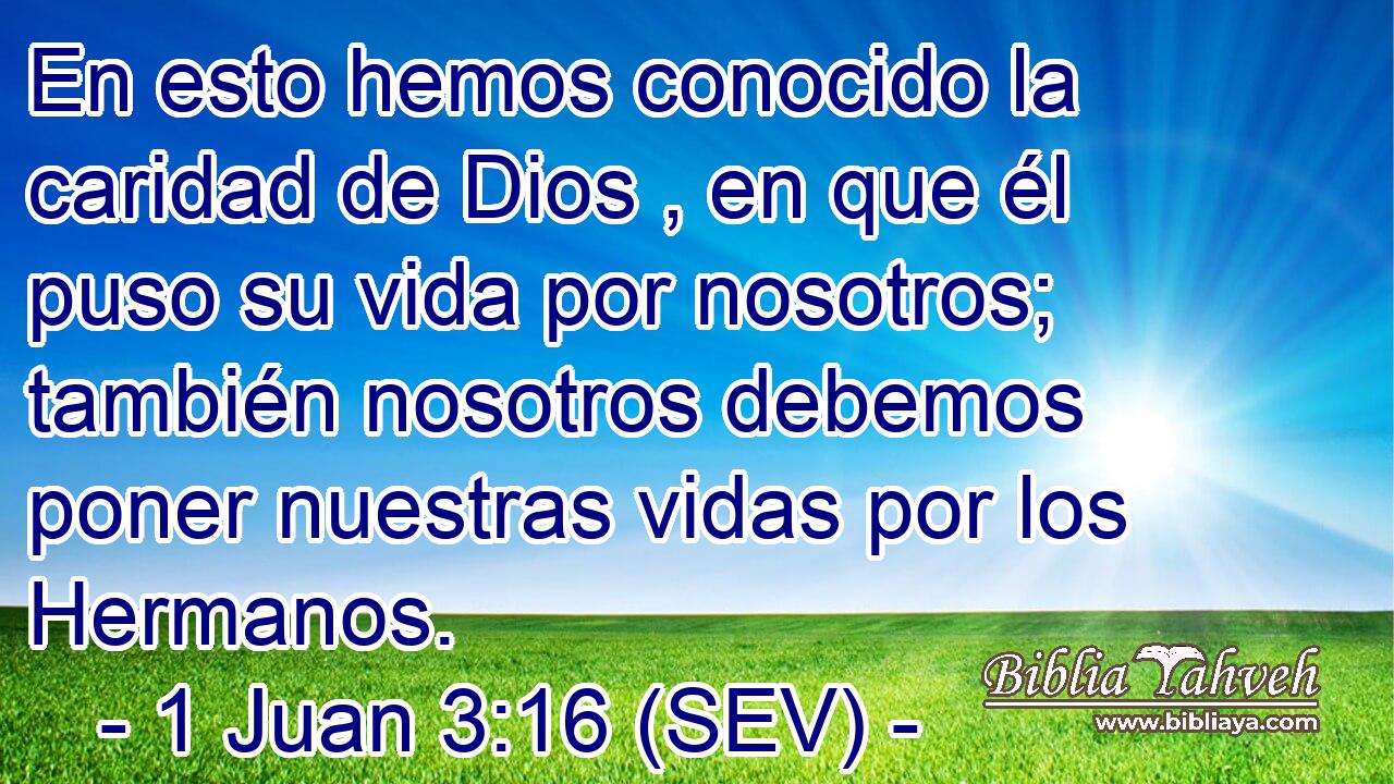 En esto hemos conocido la caridad de Dios , en que él puso su vida por nosotros; también nosotros debemos poner nuestras vidas por los Hermanos.