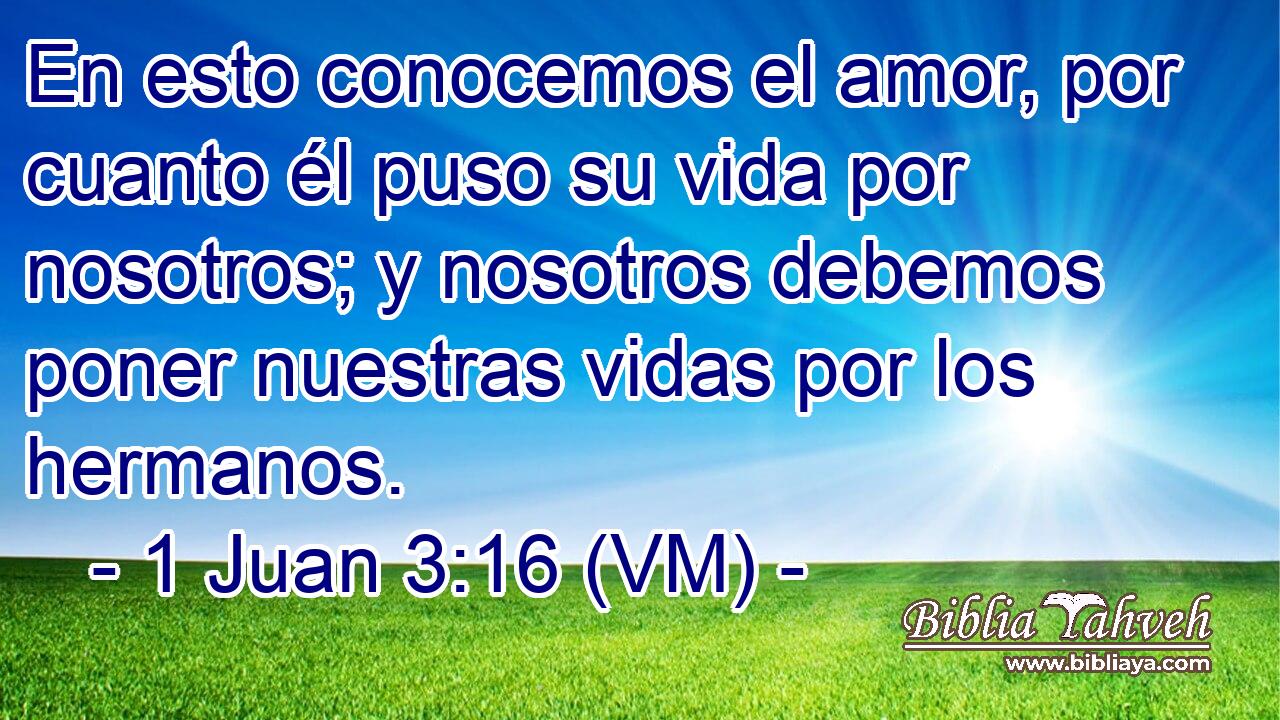  En esto conocemos el amor, por cuanto él puso su vida por nosotros; y nosotros debemos poner nuestras vidas por los hermanos. 