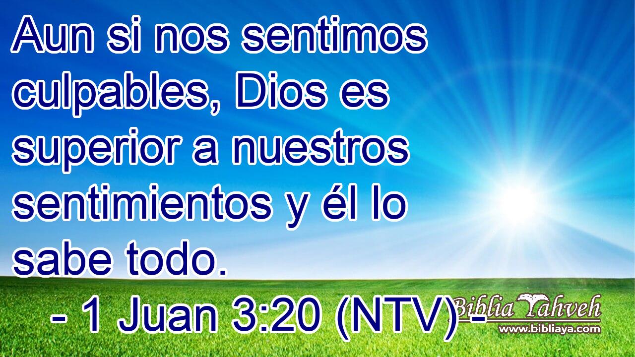 Aun si nos sentimos culpables, Dios es superior a nuestros sentimientos y él lo sabe todo.