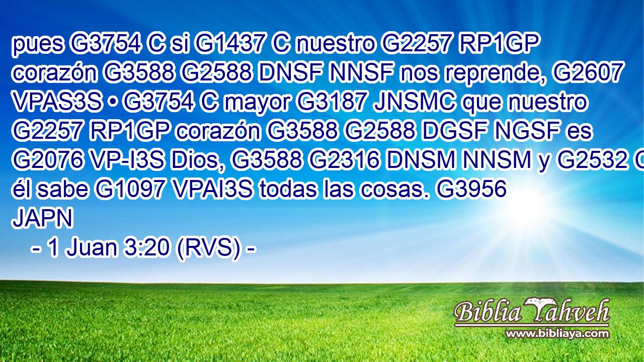 pues G3754 C si G1437 C nuestro G2257 RP1GP corazón G3588 G2588 DNSF NNSF nos reprende, G2607 VPAS3S • G3754 C mayor G3187 JNSMC que nuestro G2257 RP1GP corazón G3588 G2588 DGSF NGSF es G2076 VP-I3S Dios, G3588 G2316 DNSM NNSM y G2532 C él sabe G1097 VPAI3S todas las cosas. G3956 JAPN 