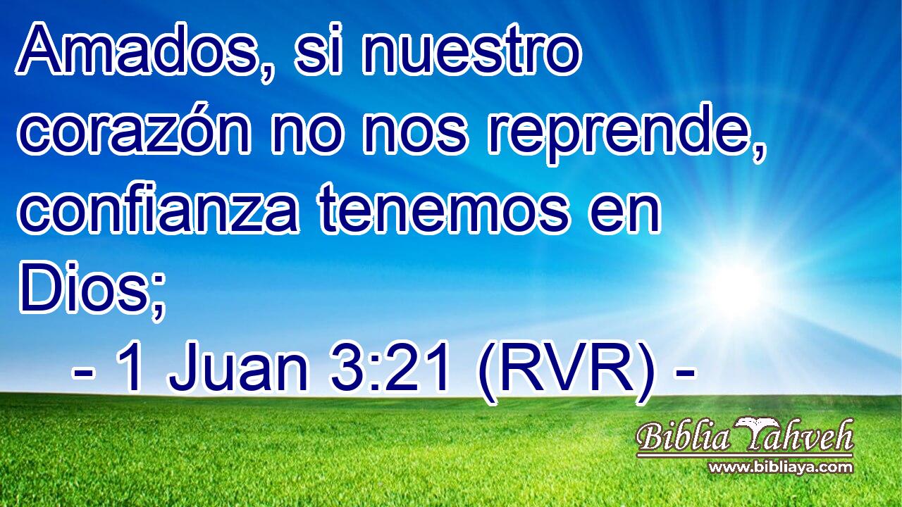 Amados, si nuestro corazón no nos reprende, confianza tenemos en Dios;