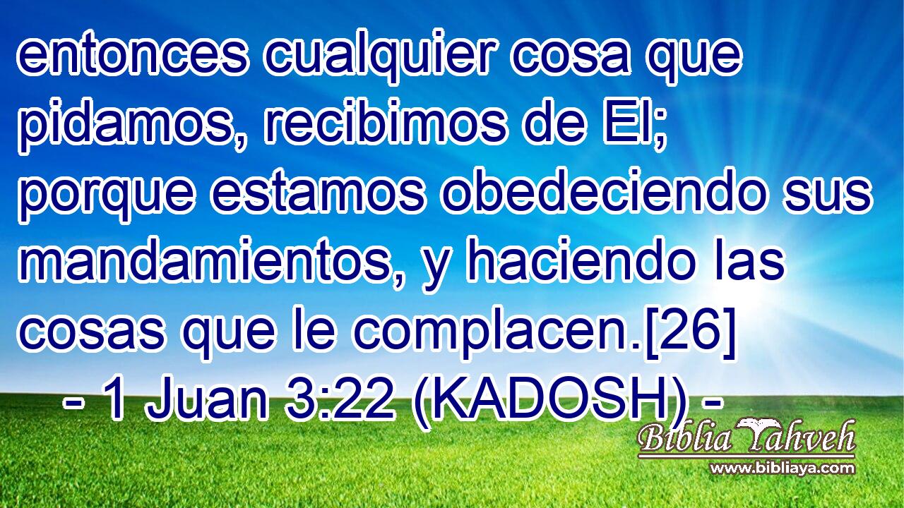  entonces cualquier cosa que pidamos, recibimos de El; porque estamos obedeciendo sus mandamientos, y haciendo las cosas que le complacen.[26] 