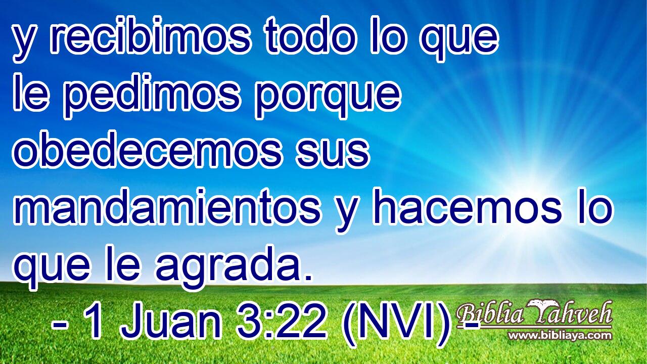 y recibimos todo lo que le pedimos porque obedecemos sus mandamientos y hacemos lo que le agrada. 