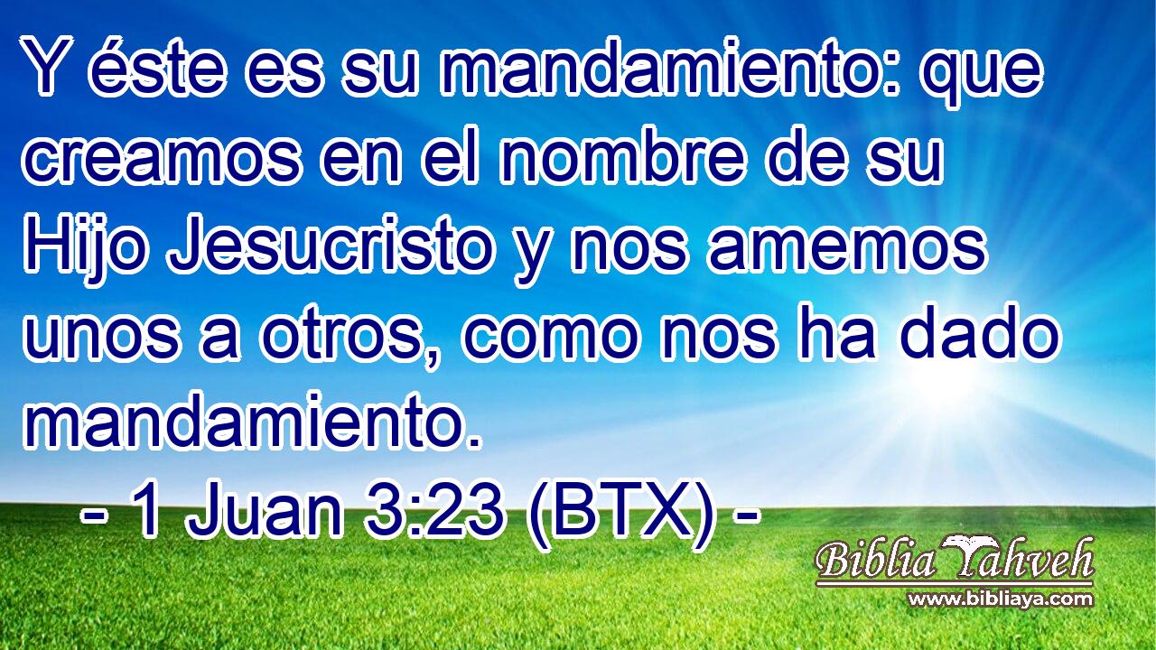 Y éste es su mandamiento: que creamos en el nombre de su Hijo Jesucristo y nos amemos unos a otros, como nos ha dado mandamiento.