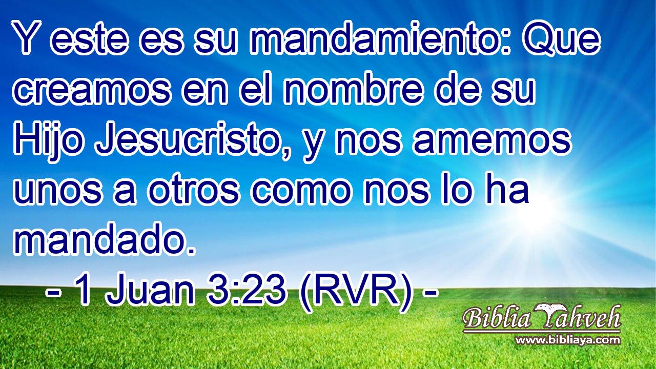 Y este es su mandamiento: Que creamos en el nombre de su Hijo Jesucristo, y nos amemos unos a otros como nos lo ha mandado.