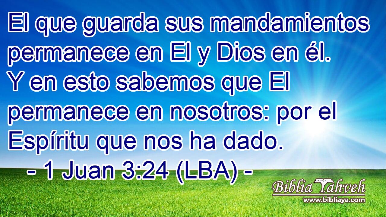 El que guarda sus mandamientos permanece en El y Dios en él. Y en esto sabemos que El permanece en nosotros: por el Espíritu que nos ha dado.