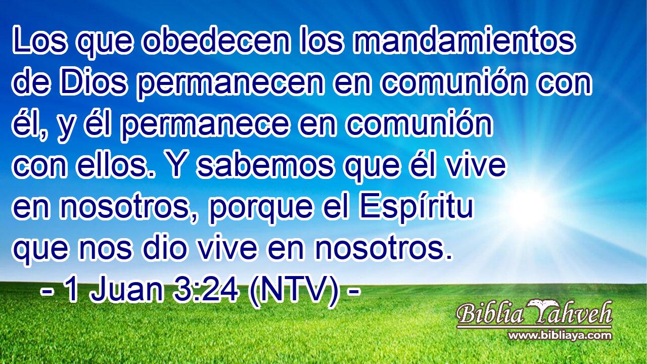 Los que obedecen los mandamientos de Dios permanecen en comunión con él, y él permanece en comunión con ellos. Y sabemos que él vive en nosotros, porque el Espíritu que nos dio vive en nosotros.