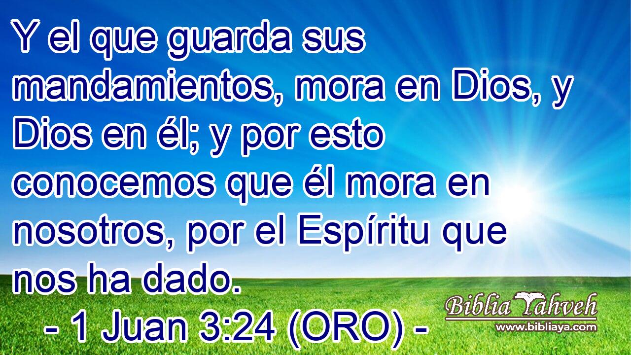  Y el que guarda sus mandamientos, mora en Dios, y Dios en él; y por esto conocemos que él mora en nosotros, por el Espíritu que nos ha dado. 