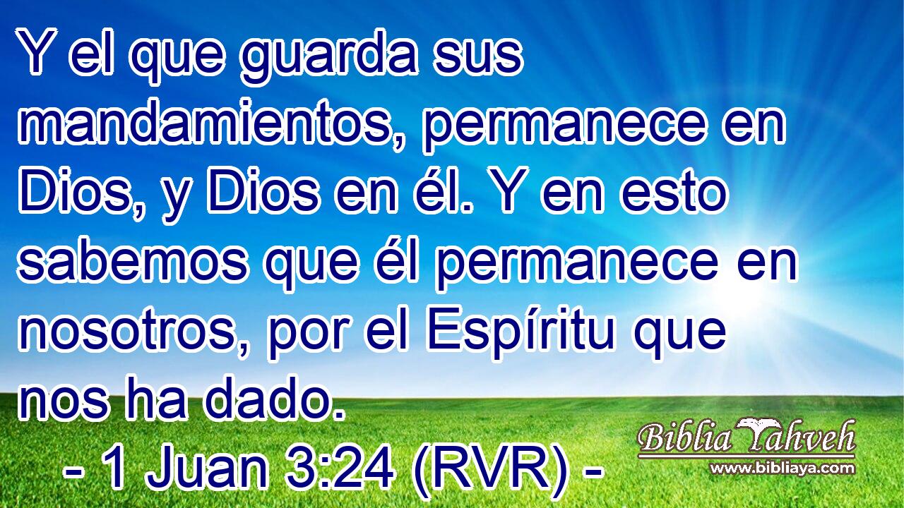 Y el que guarda sus mandamientos, permanece en Dios, y Dios en él. Y en esto sabemos que él permanece en nosotros, por el Espíritu que nos ha dado.