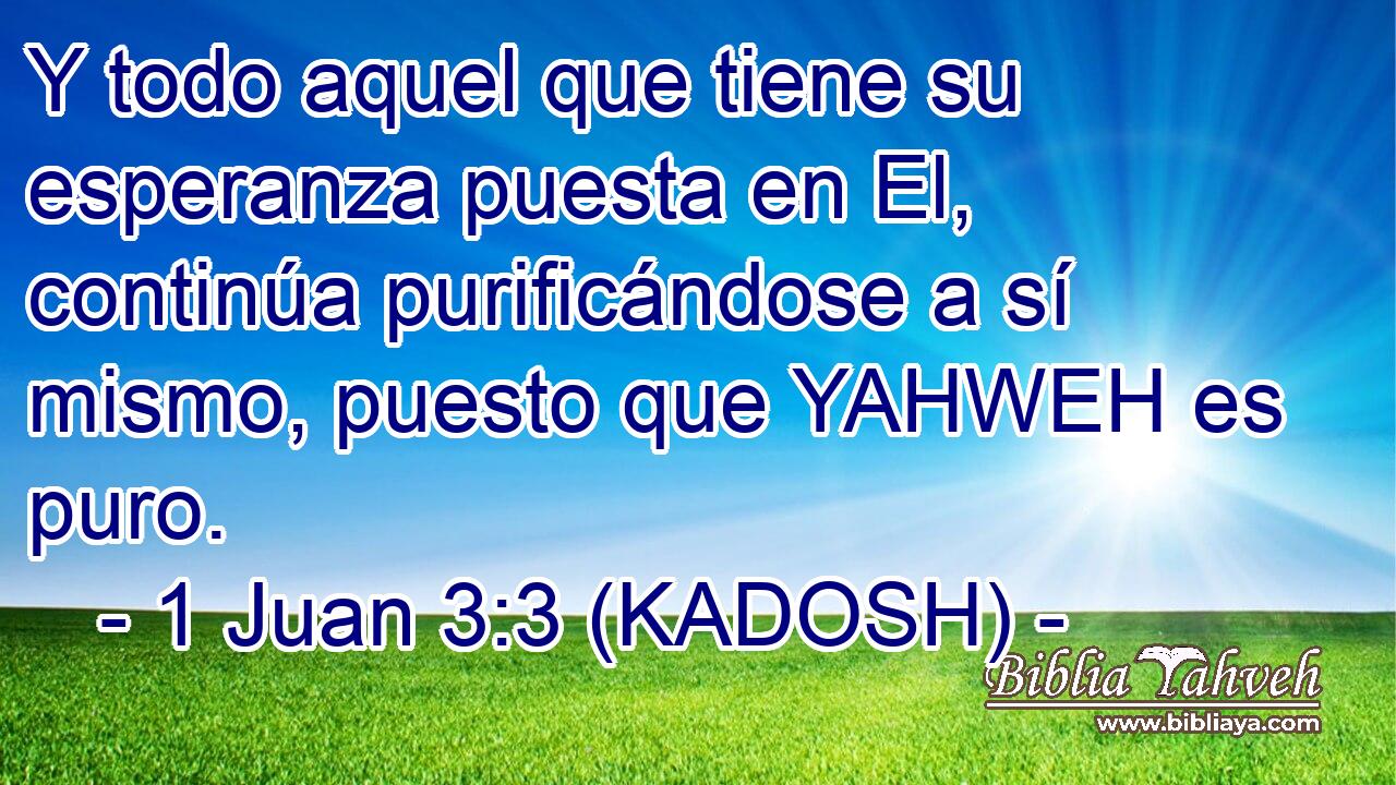  Y todo aquel que tiene su esperanza puesta en El, continúa purificándose a sí mismo, puesto que YAHWEH es puro. 