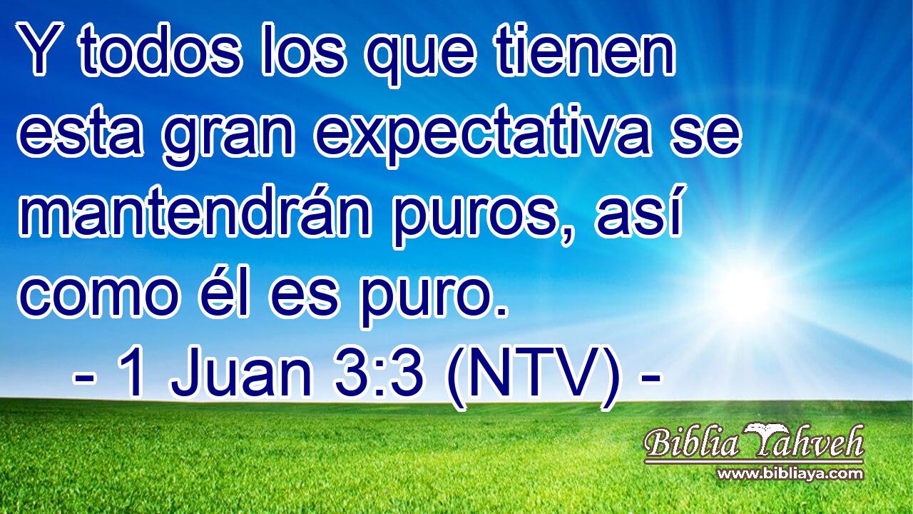 Y todos los que tienen esta gran expectativa se mantendrán puros, así como él es puro.