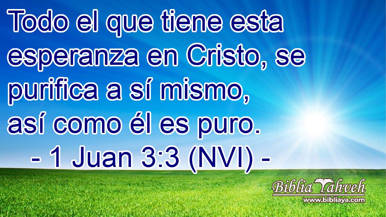  Todo el que tiene esta esperanza en Cristo, se purifica a sí mismo, así como él es puro. 