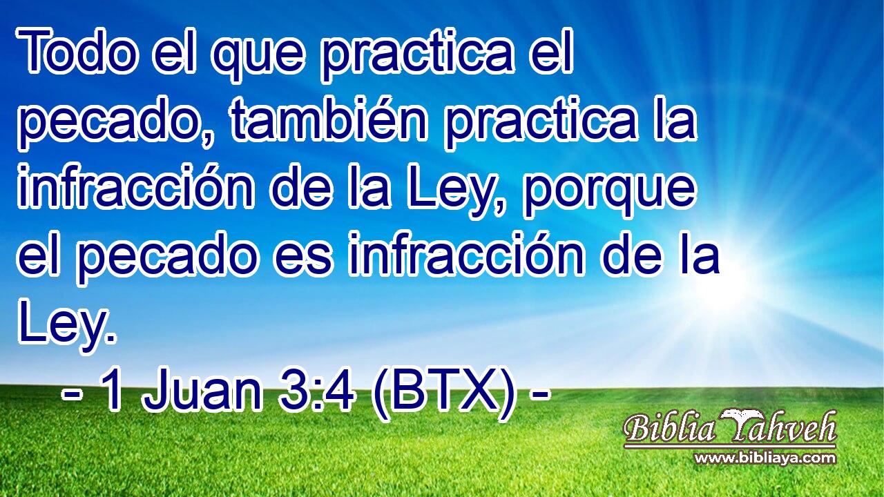 Todo el que practica el pecado, también practica la infracción de la Ley, porque el pecado es infracción de la Ley.