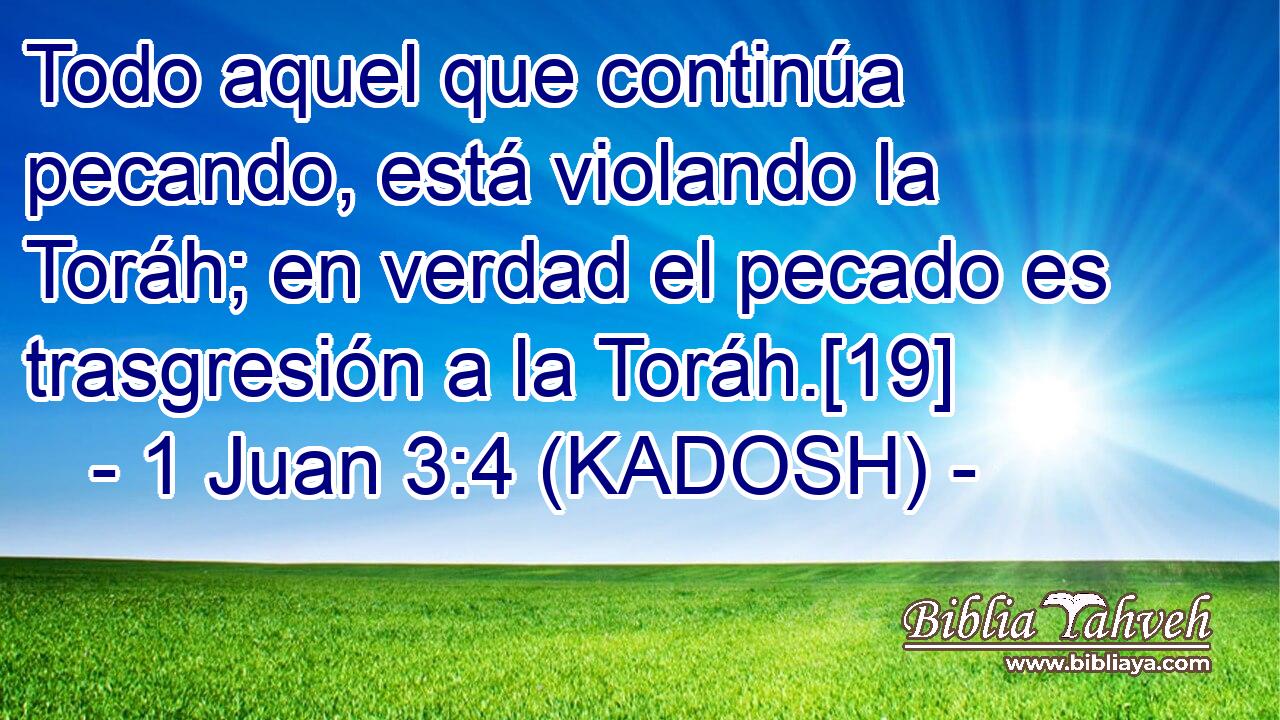  Todo aquel que continúa pecando, está violando la Toráh; en verdad el pecado es trasgresión a la Toráh.[19] 