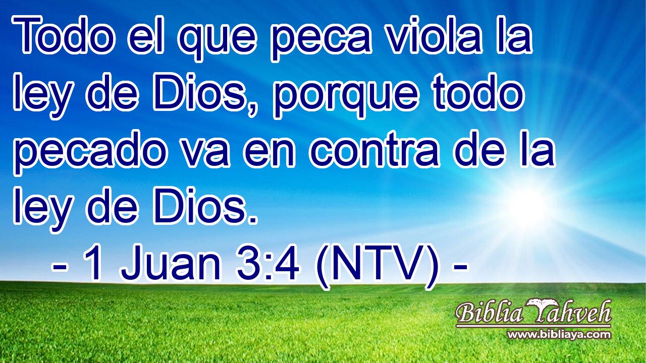 Todo el que peca viola la ley de Dios, porque todo pecado va en contra de la ley de Dios.