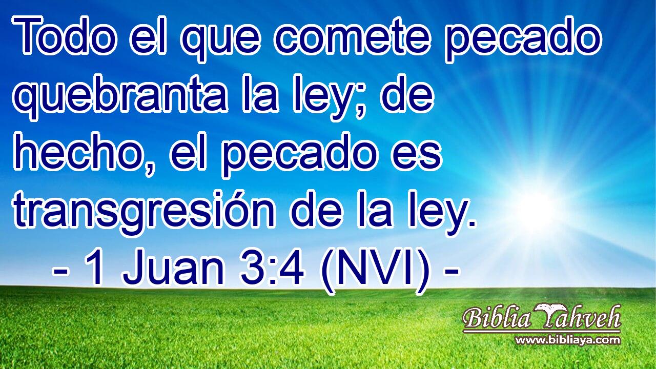  Todo el que comete pecado quebranta la ley; de hecho, el pecado es transgresión de la ley. 
