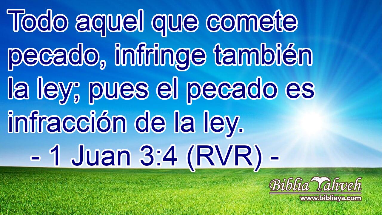 Todo aquel que comete pecado, infringe también la ley; pues el pecado es infracción de la ley.