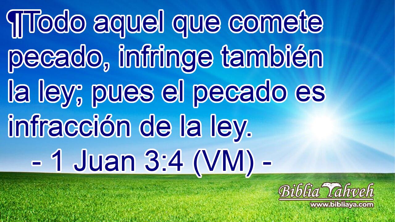  ¶Todo aquel que comete pecado, infringe también la ley; pues el pecado es infracción de la ley. 