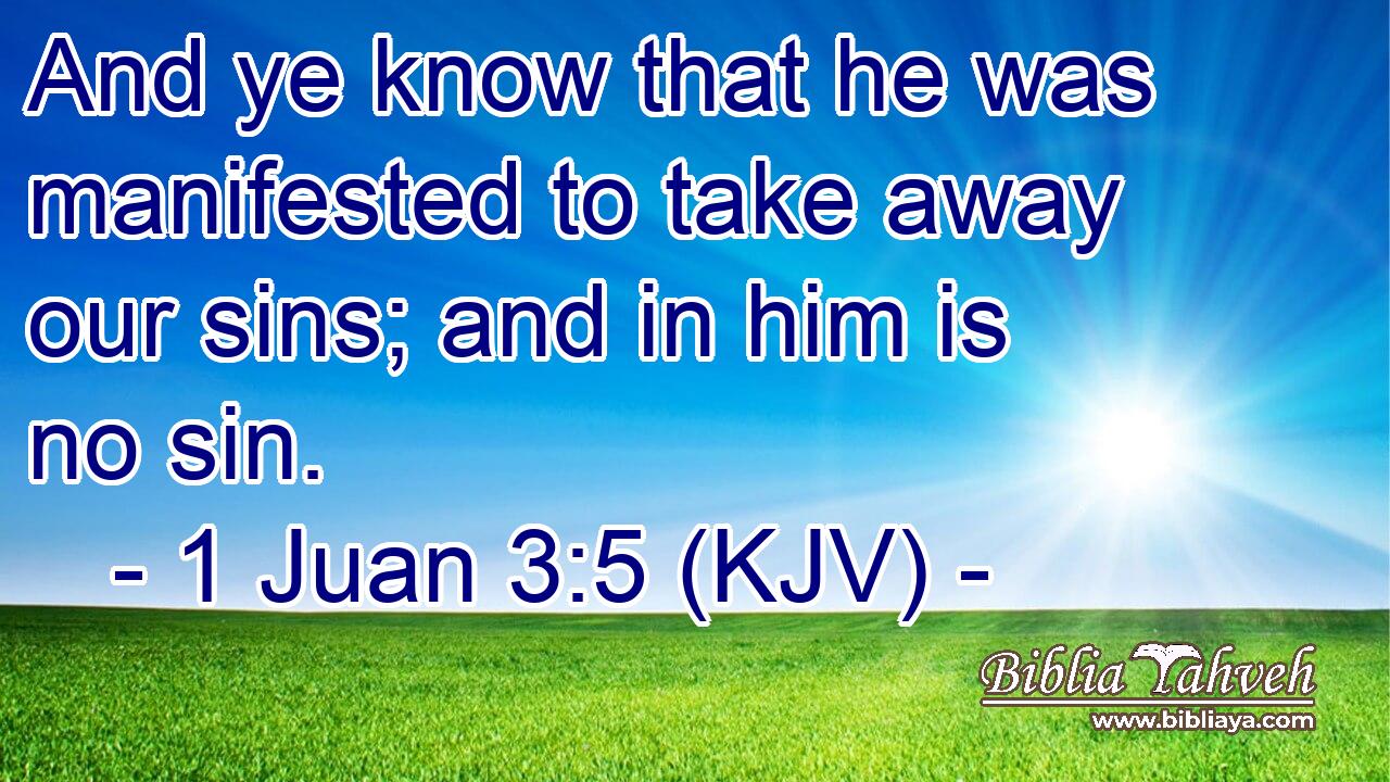 And ye know that he was manifested to take away our sins; and in him is no sin.