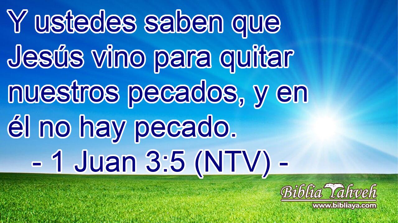 Y ustedes saben que Jesús vino para quitar nuestros pecados, y en él no hay pecado.