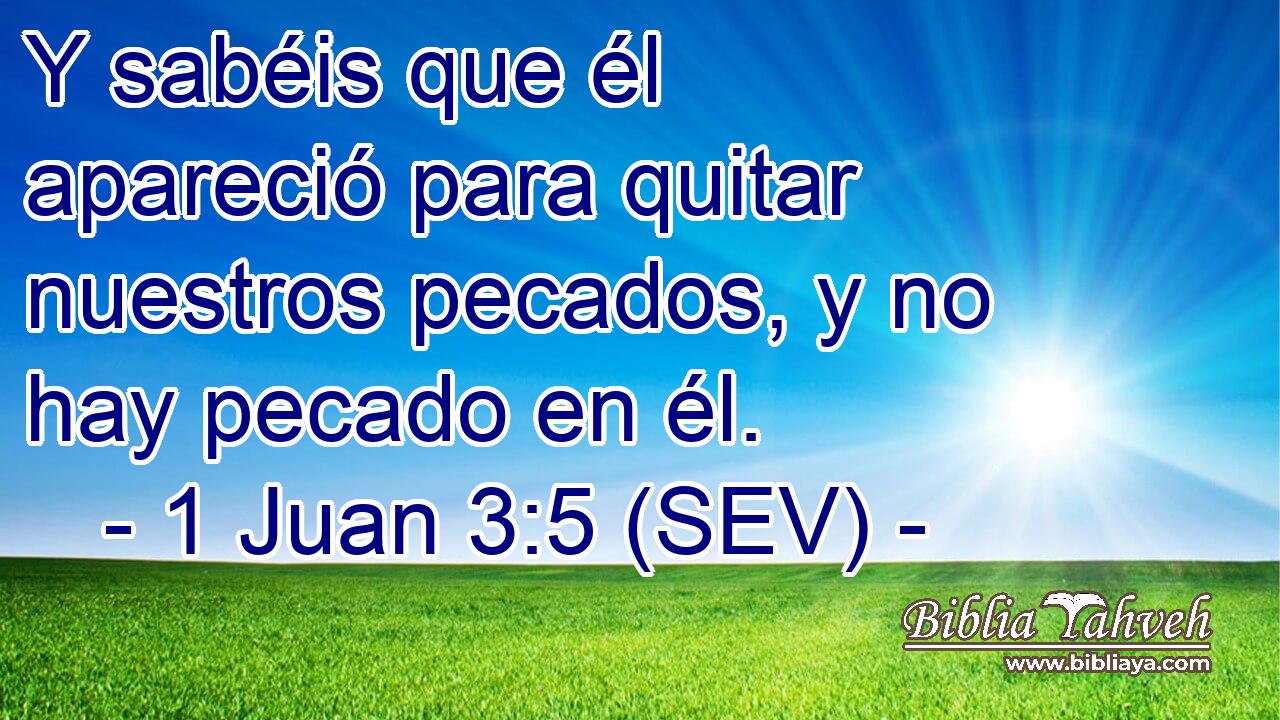 Y sabéis que él apareció para quitar nuestros pecados, y no hay pecado en él.
