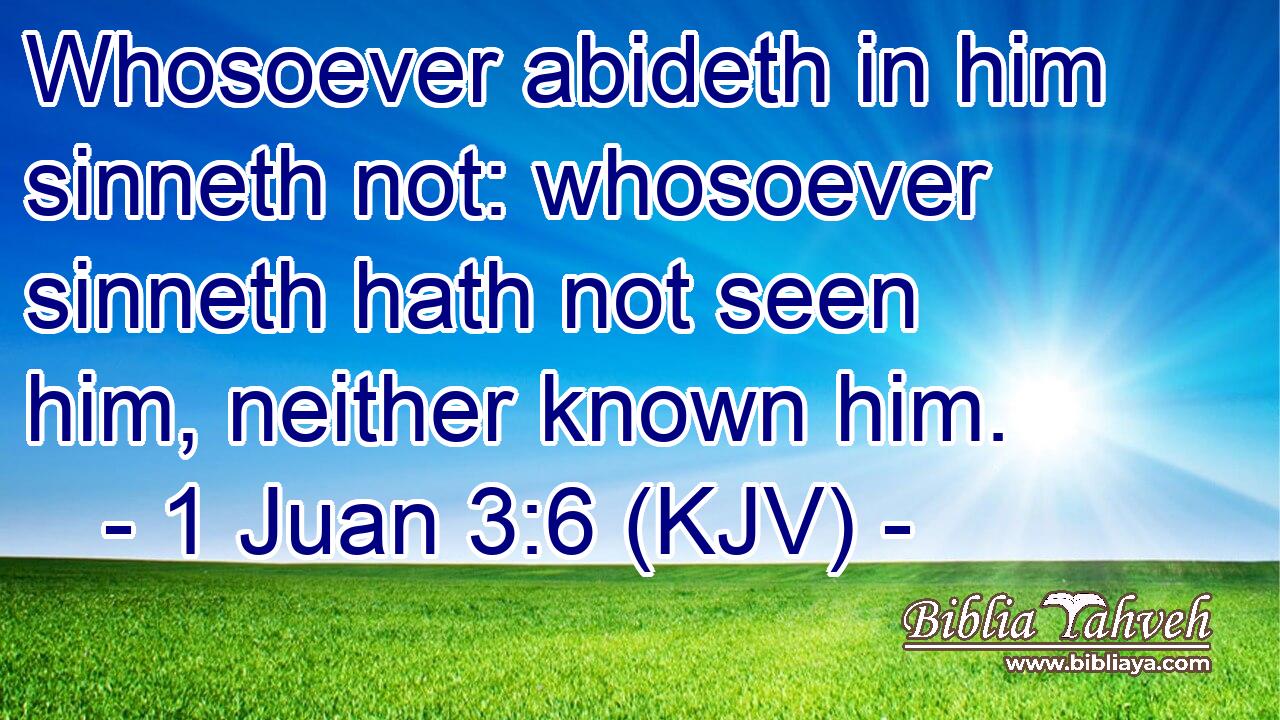 Whosoever abideth in him sinneth not: whosoever sinneth hath not seen him, neither known him.
