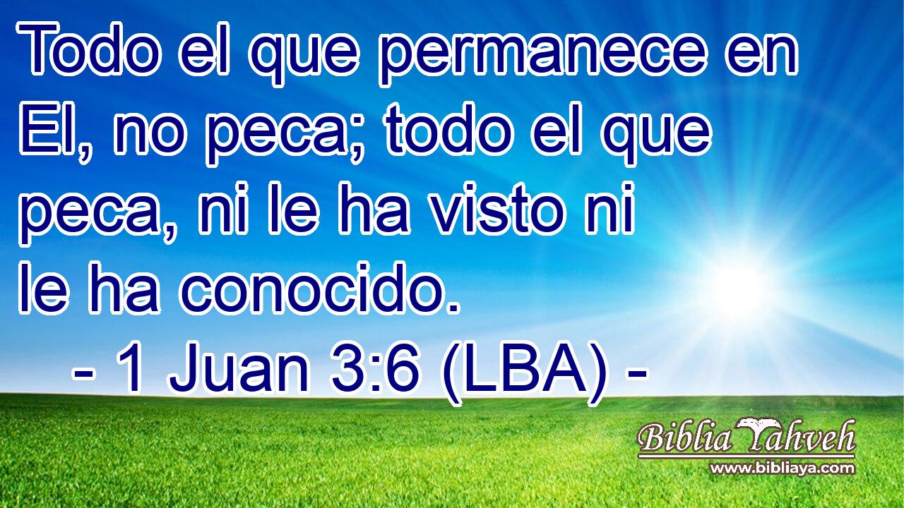 Todo el que permanece en El, no peca; todo el que peca, ni le ha visto ni le ha conocido.