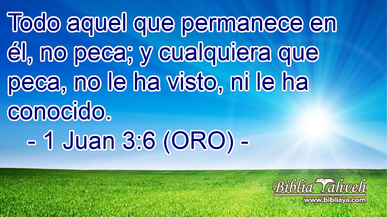  Todo aquel que permanece en él, no peca; y cualquiera que peca, no le ha visto, ni le ha conocido. 