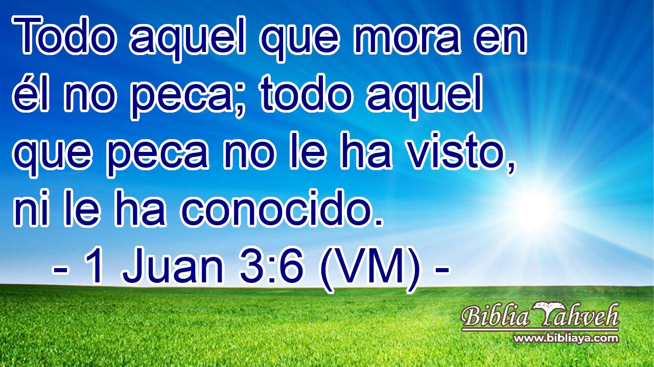  Todo aquel que mora en él no peca; todo aquel que peca no le ha visto, ni le ha conocido. 