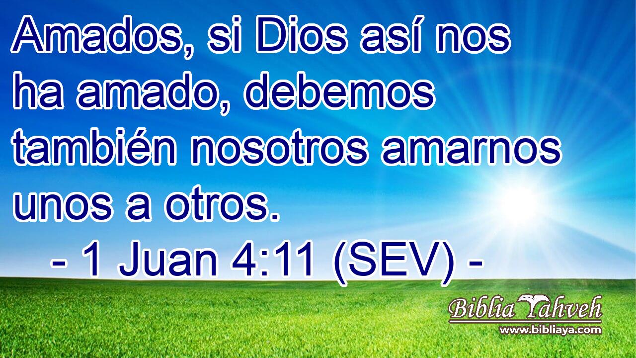 Amados, si Dios así nos ha amado, debemos también nosotros amarnos unos a otros.
