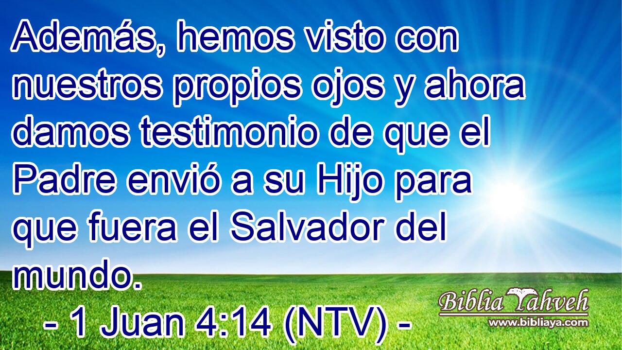 Además, hemos visto con nuestros propios ojos y ahora damos testimonio de que el Padre envió a su Hijo para que fuera el Salvador del mundo.
