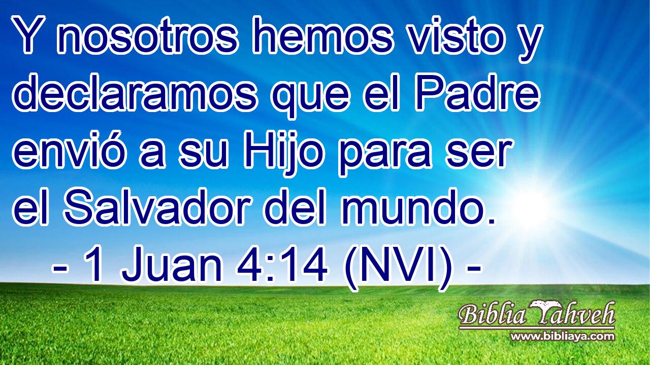  Y nosotros hemos visto y declaramos que el Padre envió a su Hijo para ser el Salvador del mundo. 