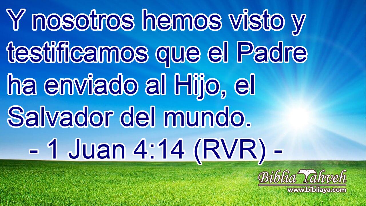 Y nosotros hemos visto y testificamos que el Padre ha enviado al Hijo, el Salvador del mundo.