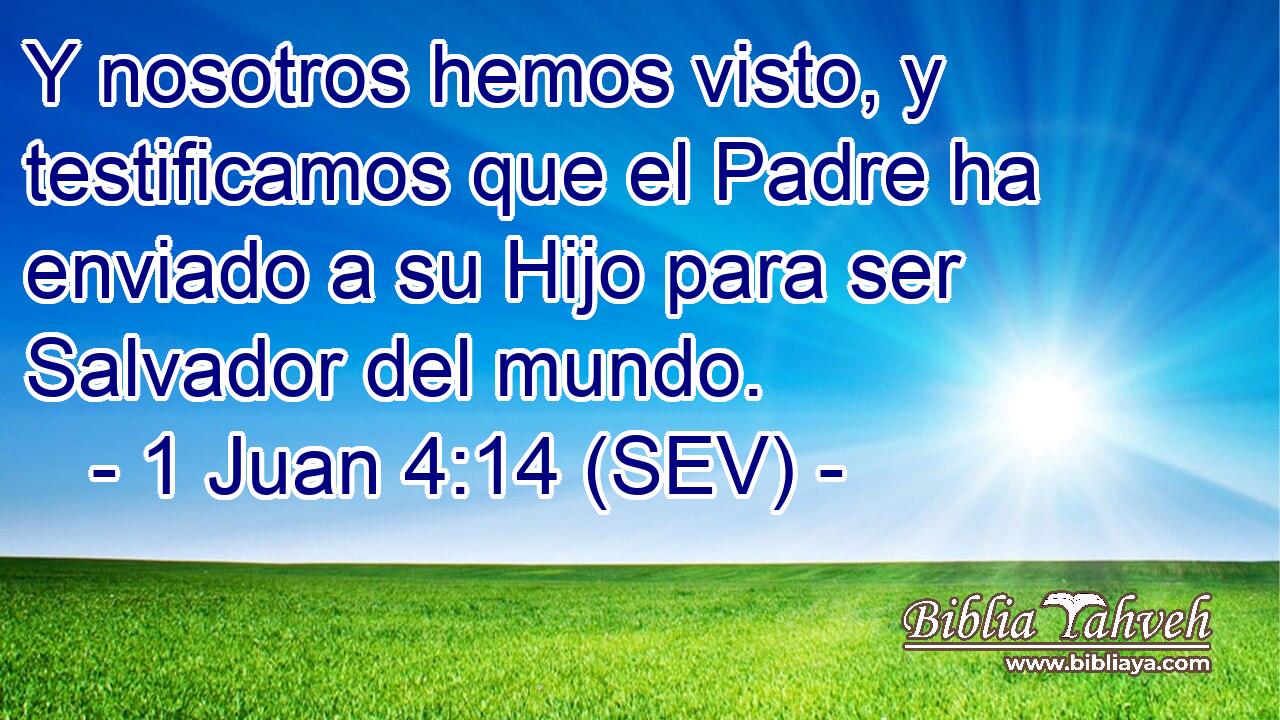 Y nosotros hemos visto, y testificamos que el Padre ha enviado a su Hijo para ser Salvador del mundo.
