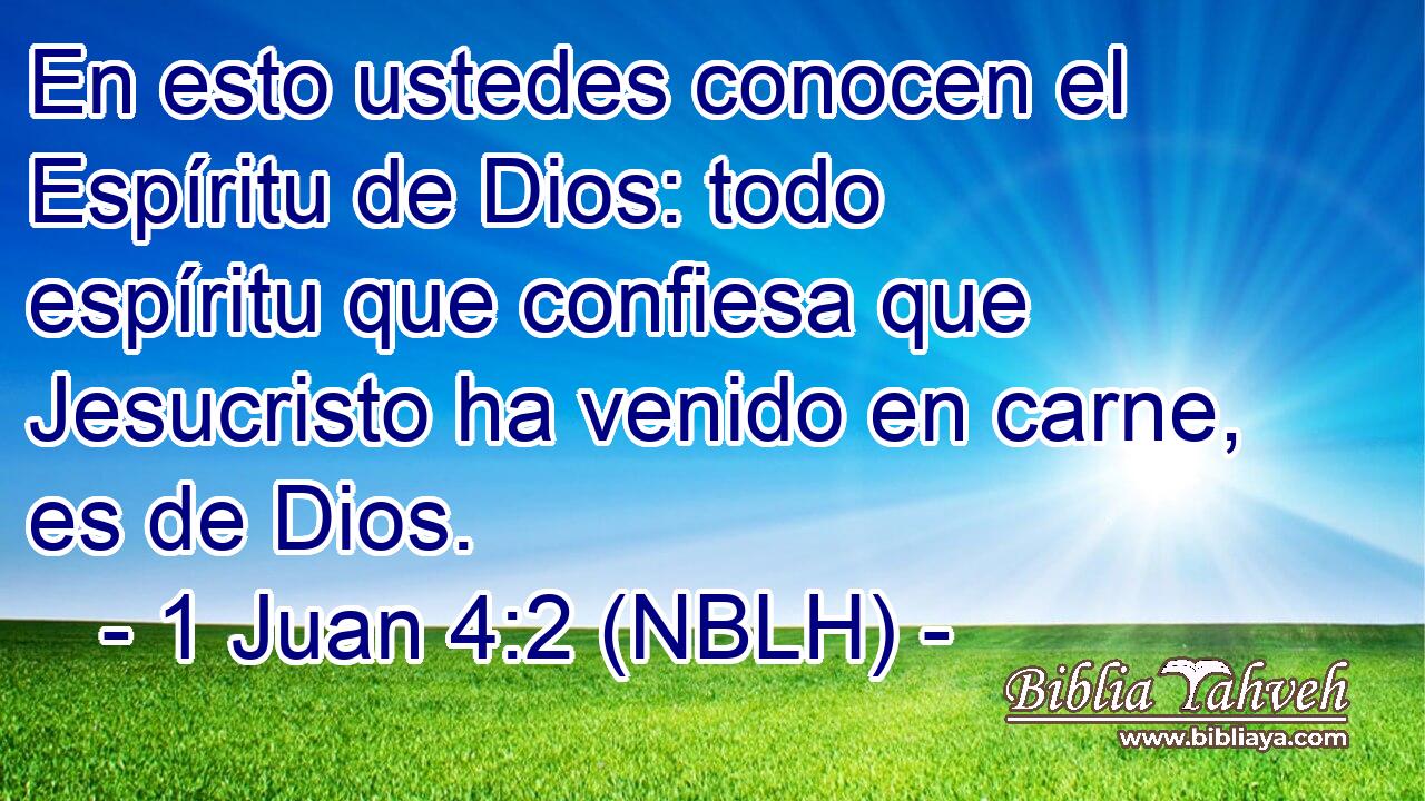  En esto ustedes conocen el Espíritu de Dios: todo espíritu que confiesa que Jesucristo ha venido en carne, es de Dios. 
