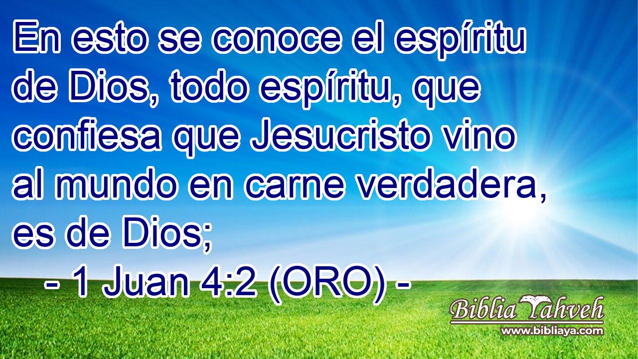  En esto se conoce el espíritu de Dios, todo espíritu, que confiesa que Jesucristo vino al mundo en carne verdadera, es de Dios; 