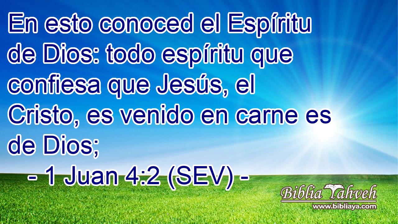 En esto conoced el Espíritu de Dios: todo espíritu que confiesa que Jesús, el Cristo, es venido en carne es de Dios;