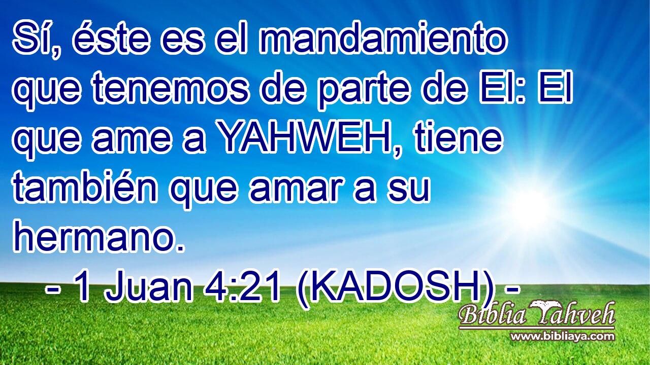  Sí, éste es el mandamiento que tenemos de parte de El: El que ame a YAHWEH, tiene también que amar a su hermano. 