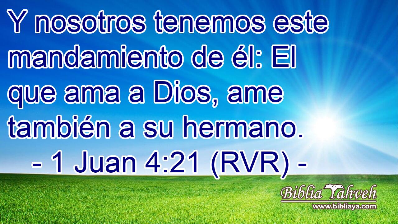 Y nosotros tenemos este mandamiento de él: El que ama a Dios, ame también a su hermano.
