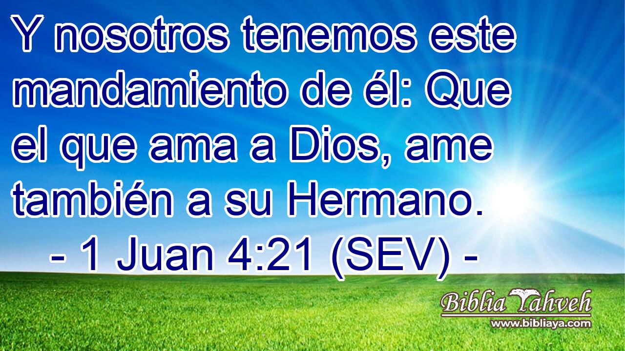 Y nosotros tenemos este mandamiento de él: Que el que ama a Dios, ame también a su Hermano.