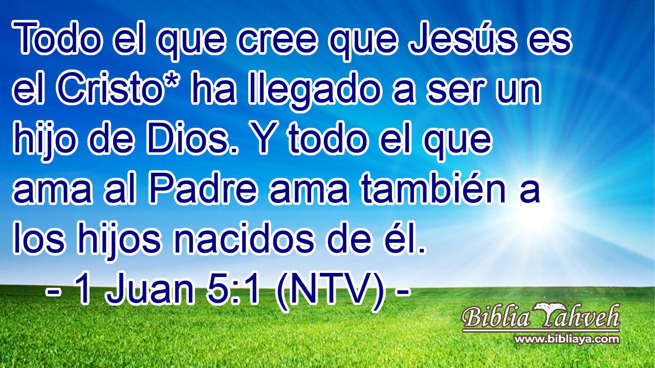 Todo el que cree que Jesús es el Cristo* ha llegado a ser un hijo de Dios. Y todo el que ama al Padre ama también a los hijos nacidos de él.