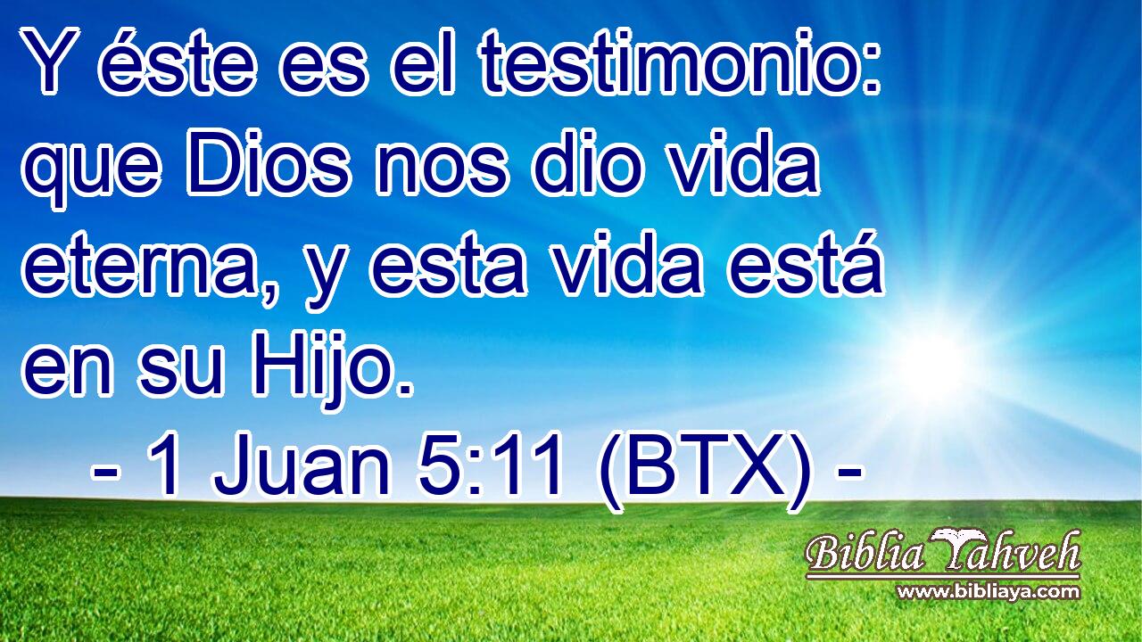 Y éste es el testimonio: que Dios nos dio vida eterna, y esta vida está en su Hijo.