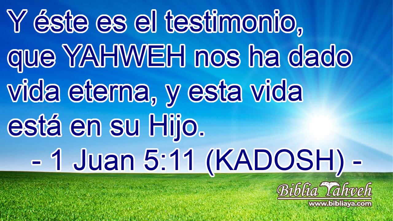  Y éste es el testimonio, que YAHWEH nos ha dado vida eterna, y esta vida está en su Hijo. 
