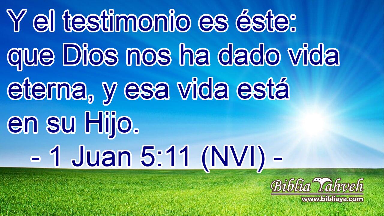  Y el testimonio es éste: que Dios nos ha dado vida eterna, y esa vida está en su Hijo. 