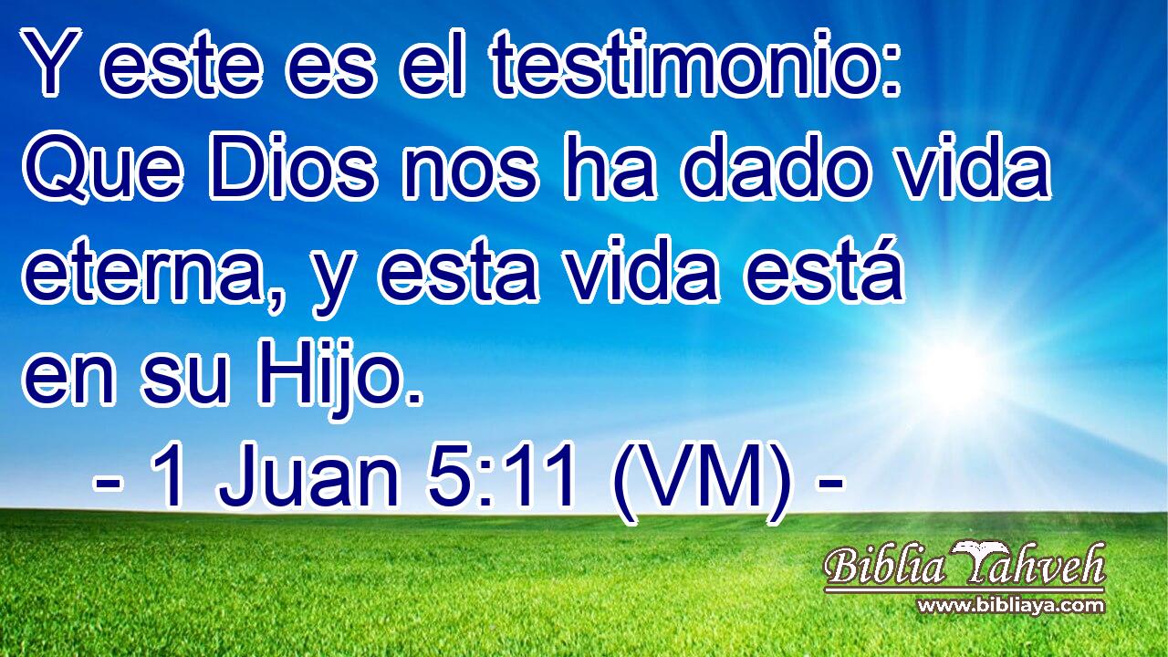  Y este es el testimonio: Que Dios nos ha dado vida eterna, y esta vida está en su Hijo. 