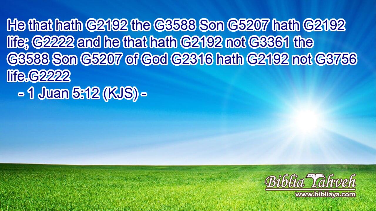He that hath G2192 the G3588 Son G5207 hath G2192 life; G2222 and he that hath G2192 not G3361 the G3588 Son G5207 of God G2316 hath G2192 not G3756 life.G2222