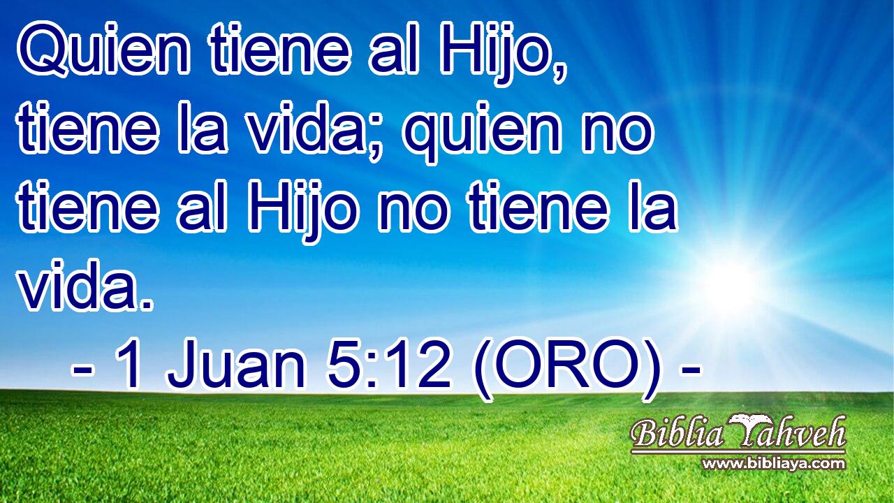  Quien tiene al Hijo, tiene la vida; quien no tiene al Hijo no tiene la vida. 