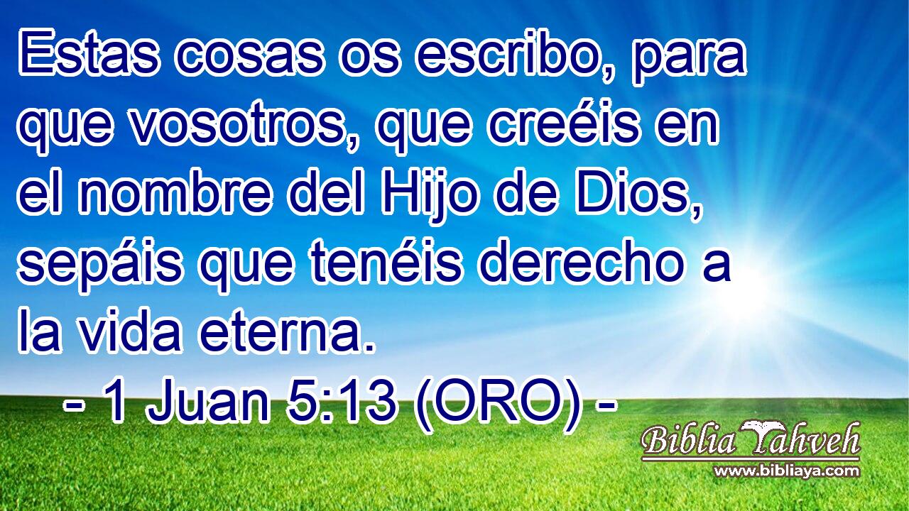  Estas cosas os escribo, para que vosotros, que creéis en el nombre del Hijo de Dios, sepáis que tenéis derecho a la vida eterna. 